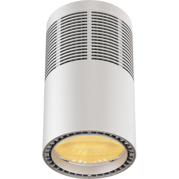EclPendant VW